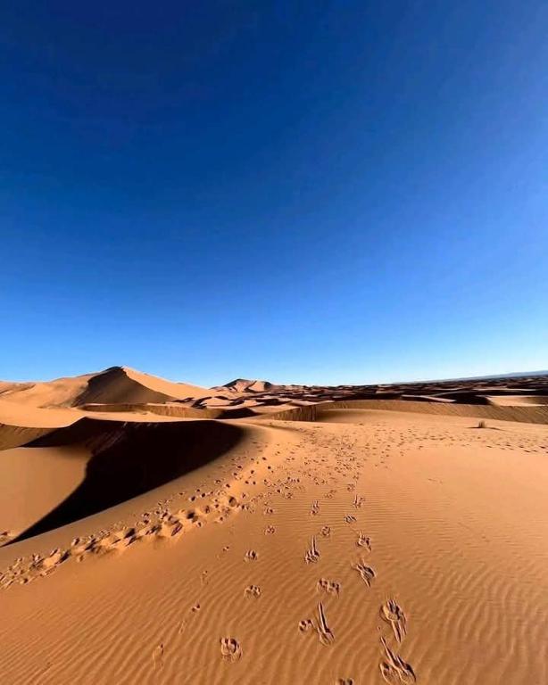 un desierto con huellas en la arena en Camp sahara ayour, en Merzouga