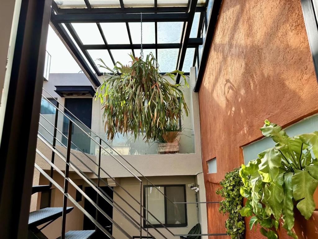 Balkón nebo terasa v ubytování Casa Bakora Hotel