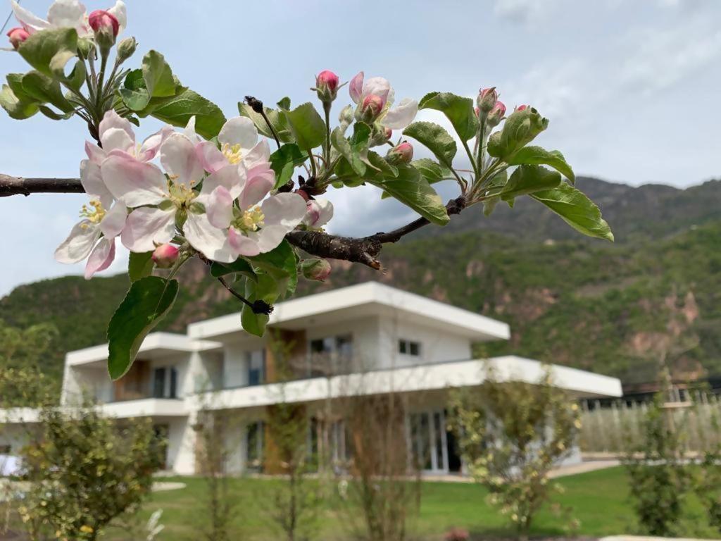 Nespecifikovaný výhled na hory nebo výhled na hory při pohledu z bed and breakfast