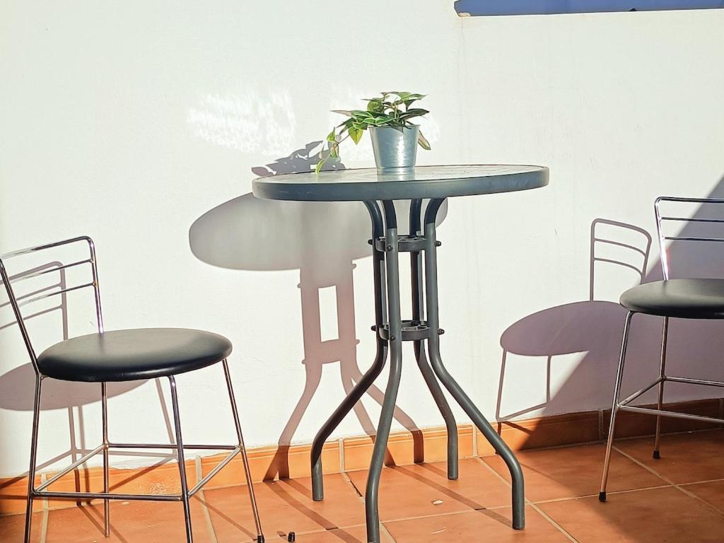 a table with a potted plant on top of it at Acogedor Miniestudio en Playa Honda in Playa Honda