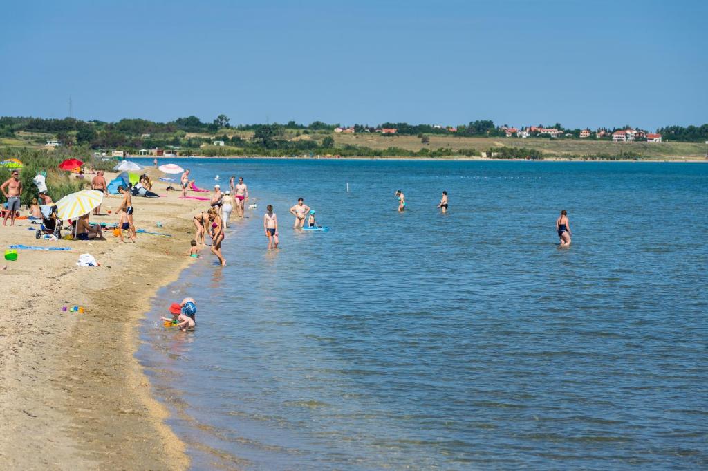 Príroda v okolí apartmánu
