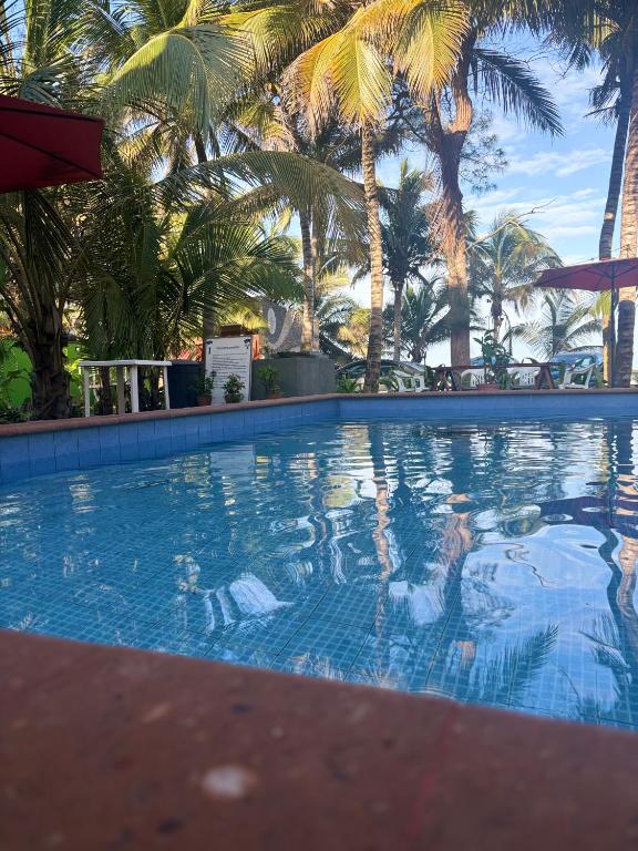Bazen v nastanitvi oz. blizu nastanitve Hotel Rosa de los vientos