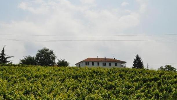 ein Haus auf einem Hügel mit einem Feld in der Unterkunft Agriturismo Ai Piacentini in Santo Stefano Belbo
