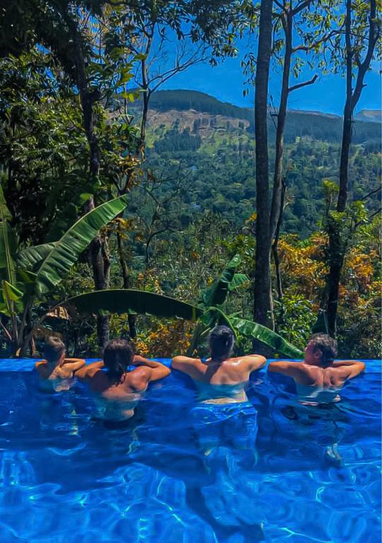 Bazén v ubytování Kandy Bird Villas nebo v jeho okolí