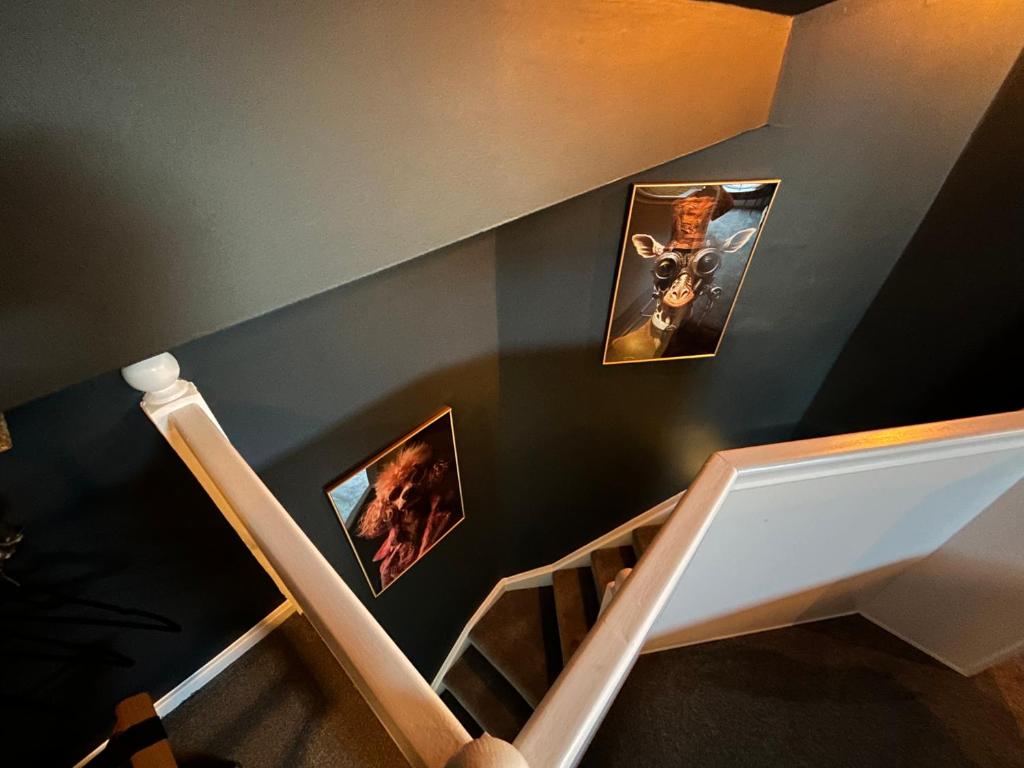 a staircase with pictures on the wall and a stair case at Aiskew Villa Annex in Bedale
