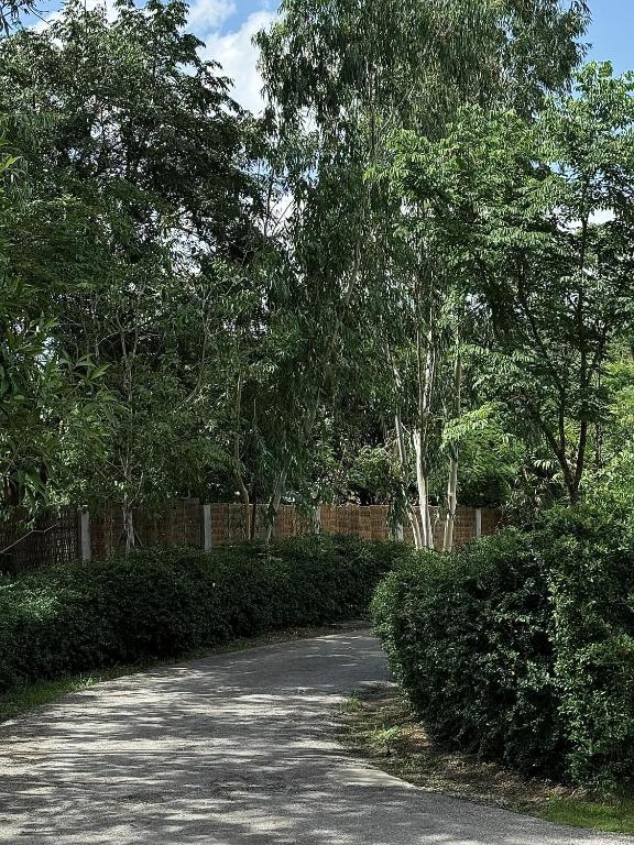 Sela Chiangmai - Resim 42