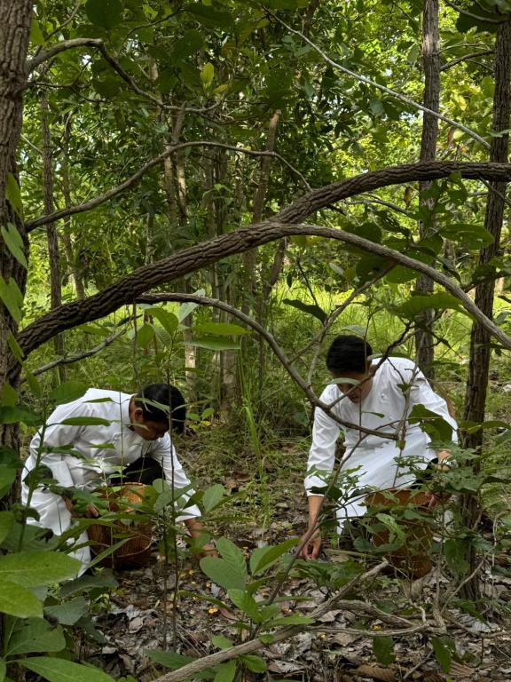 Sela Chiangmai - Resim 17