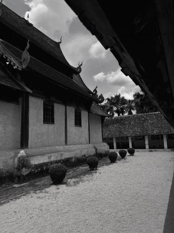 Sela Chiangmai - Resim 24