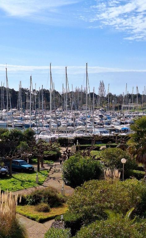 Un tas de bateaux sont amarrés dans un port de plaisance dans l'établissement Studio Cabine Vue Port avec parking privé, au Cap d'Agde