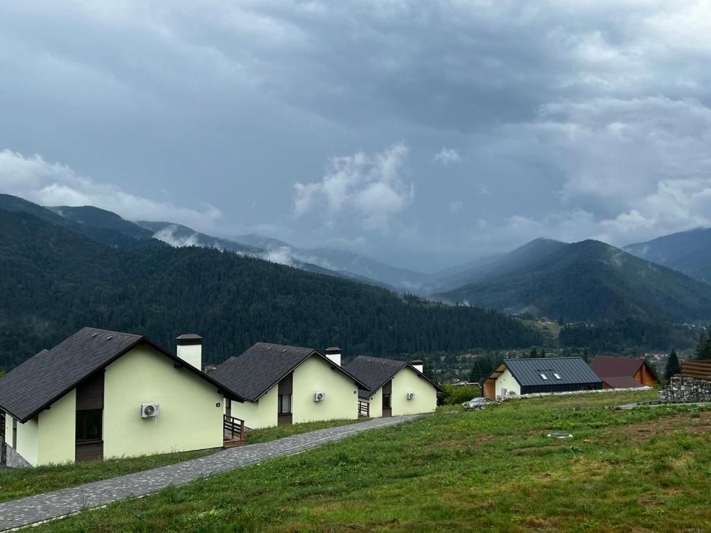 a group of houses on a hill with mountains in the background at KOLO Котеджний комплекс in Tatariv