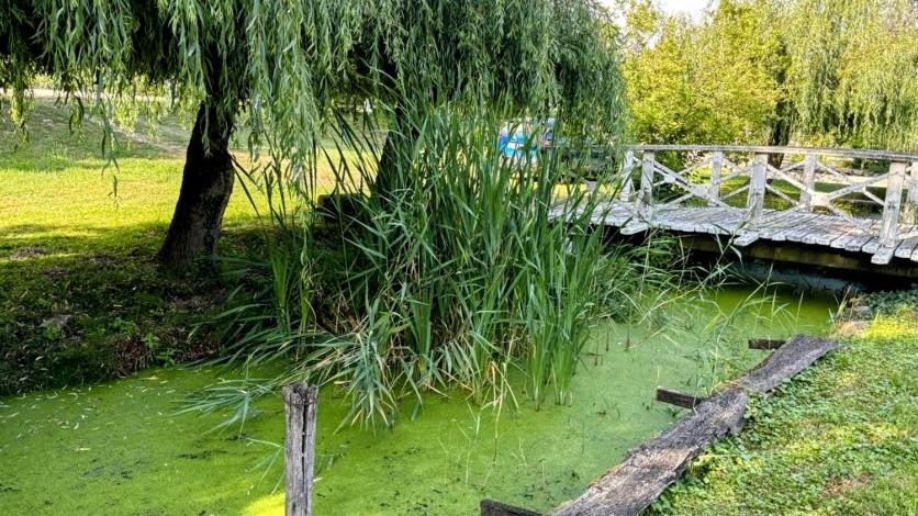 Zahrada ubytování Viktória Apartman DunaWeekend