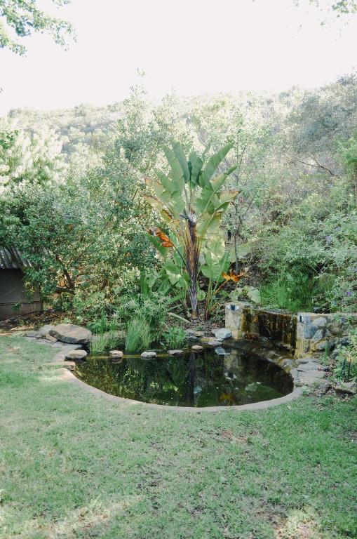 Zahrada ubytování Southern Yurts