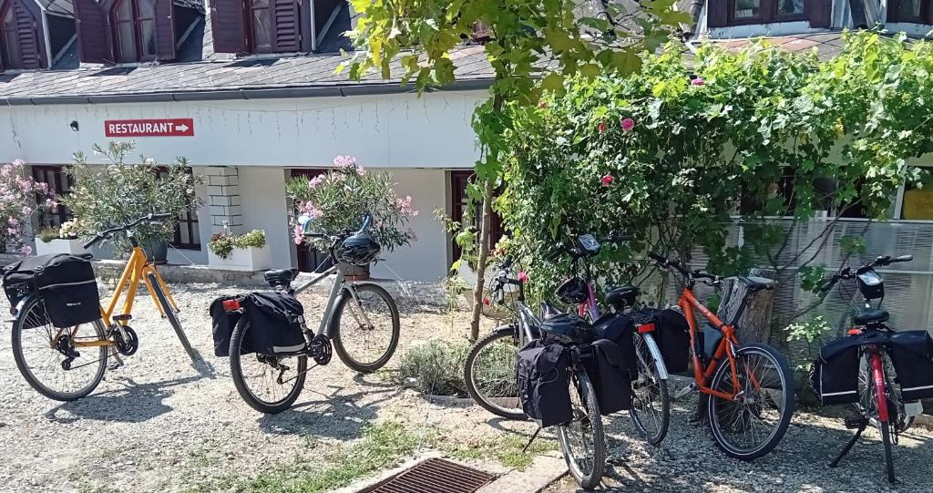 Jízda na kole v ubytování Diána Fogadó nebo okolí