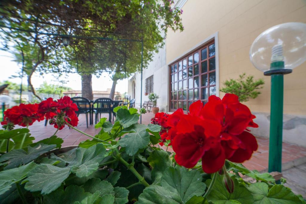 Zahrada ubytování villa amodeo