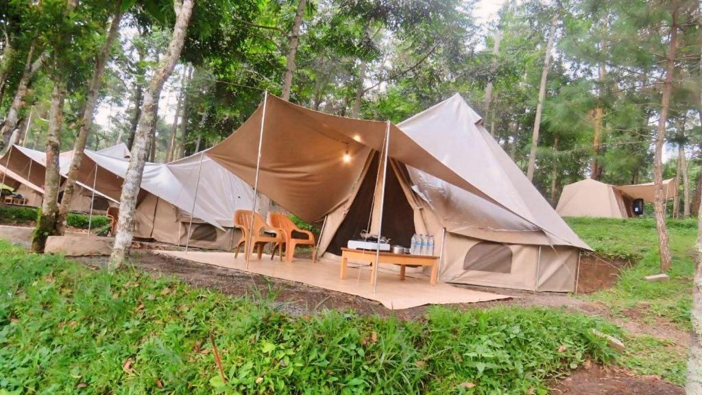 Zahrada ubytování Be Glamping Lembang