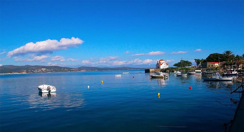 a group of boats in a large body of water at The Olive Yard in Gythio