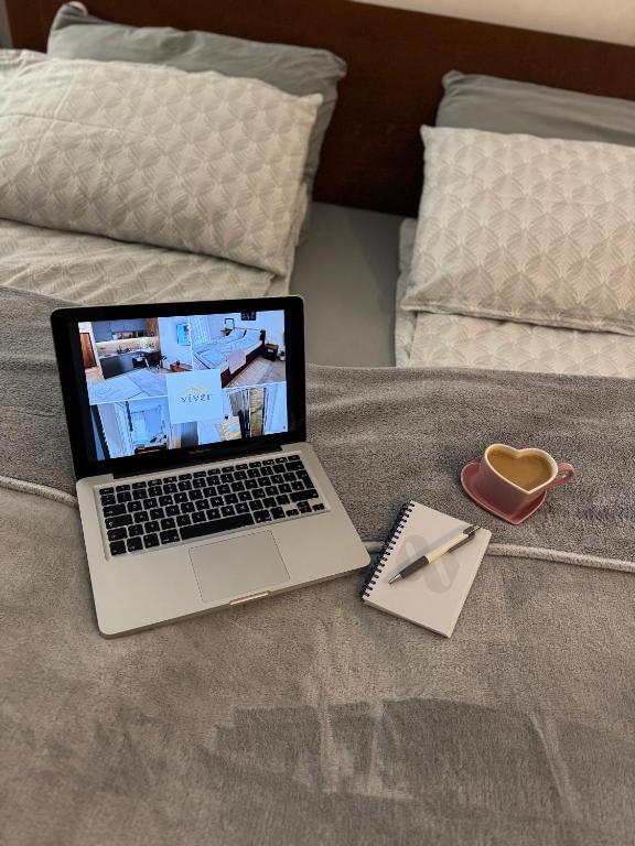 TV a/nebo společenská místnost v ubytování Apartmani Viver Vrnjačka Banja
