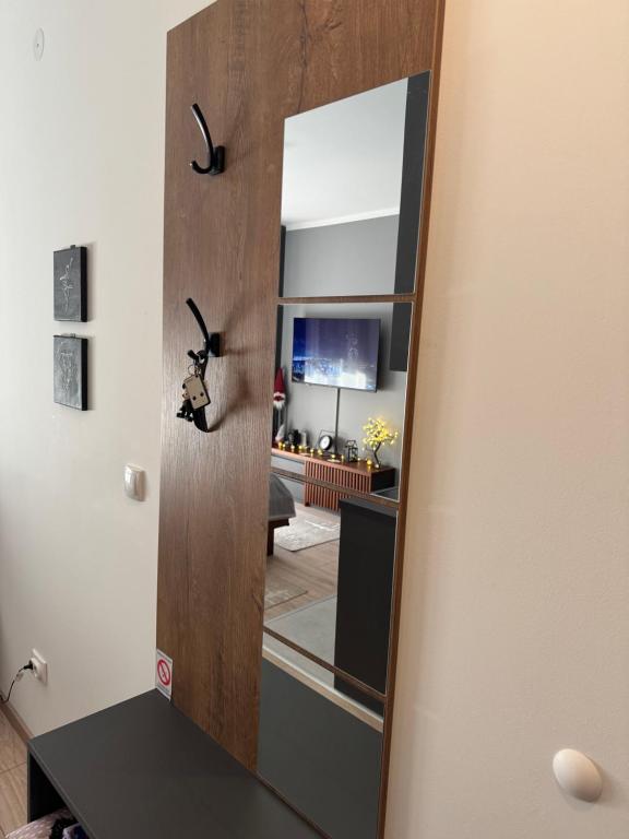 Kuchyň nebo kuchyňský kout v ubytování Apartmani Viver Vrnjačka Banja