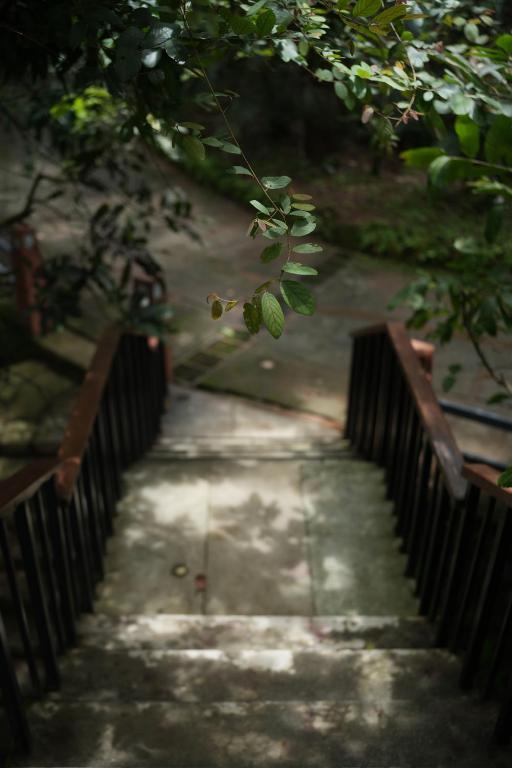 Fotografie z fotogalerie ubytování Wayanad Silverwoods Forest Resort & Spa v destinaci Padinjarathara
