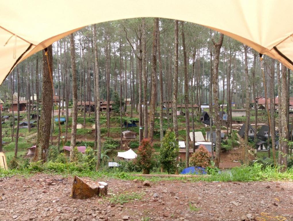 Zahrada ubytování Be Glamping Lembang