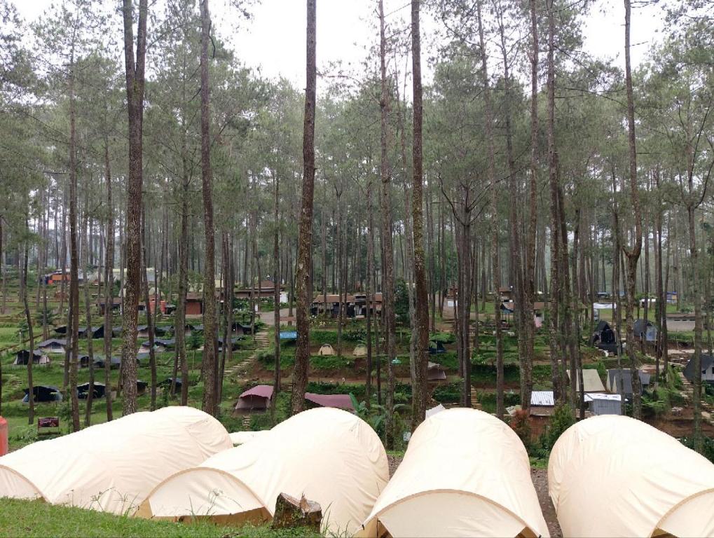 Zahrada ubytování Be Glamping Lembang