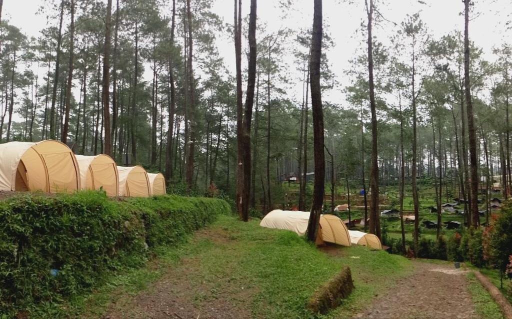 Zahrada ubytování Be Glamping Lembang