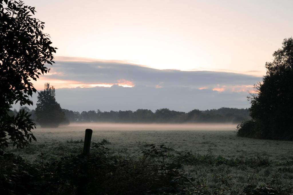 Hotel Lohauser Hof - Resim 16