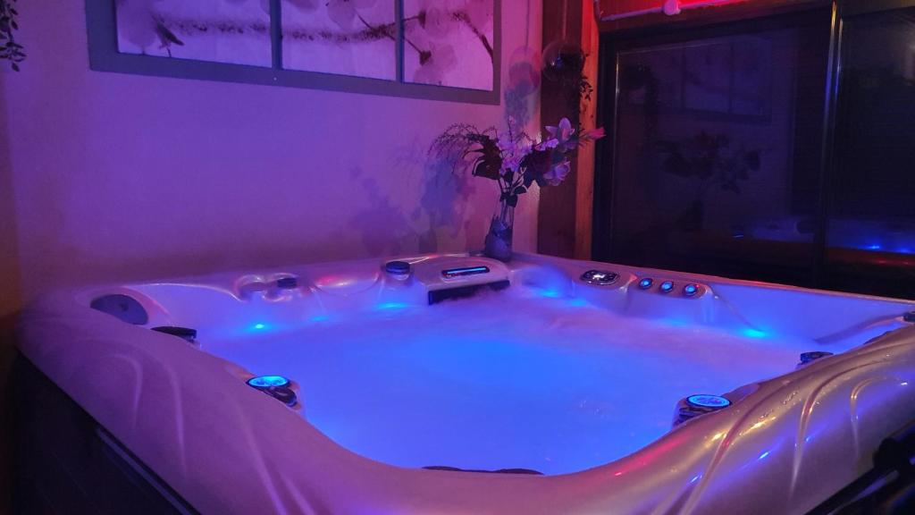 une baignoire avec un vase de fleurs dans une pièce dans l'établissement Gîte de Pied Chapel - Piscine, spa et pleine nature, à Alba-la-Romaine
