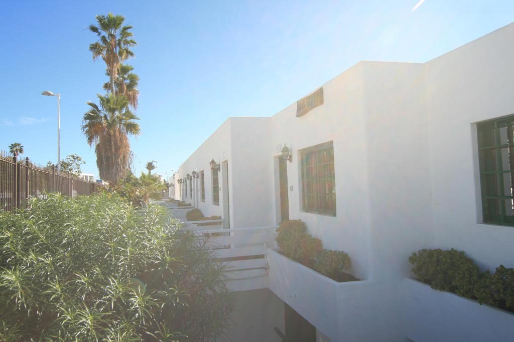 biały budynek z palmą w tle w obiekcie Apartamentos Guanarama w Puerto del Carmen