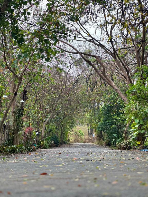 Fotografie z fotogalerie ubytování The Frog Khaoyai Resort v destinaci Ban Tha Chang