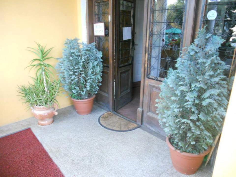 Exteriér nebo vchod ubytování Pensiunea Onix