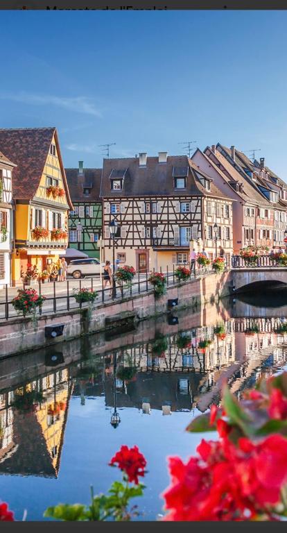 HAPPY HOME COLMAR with PRIVATE PARKING – photo 6