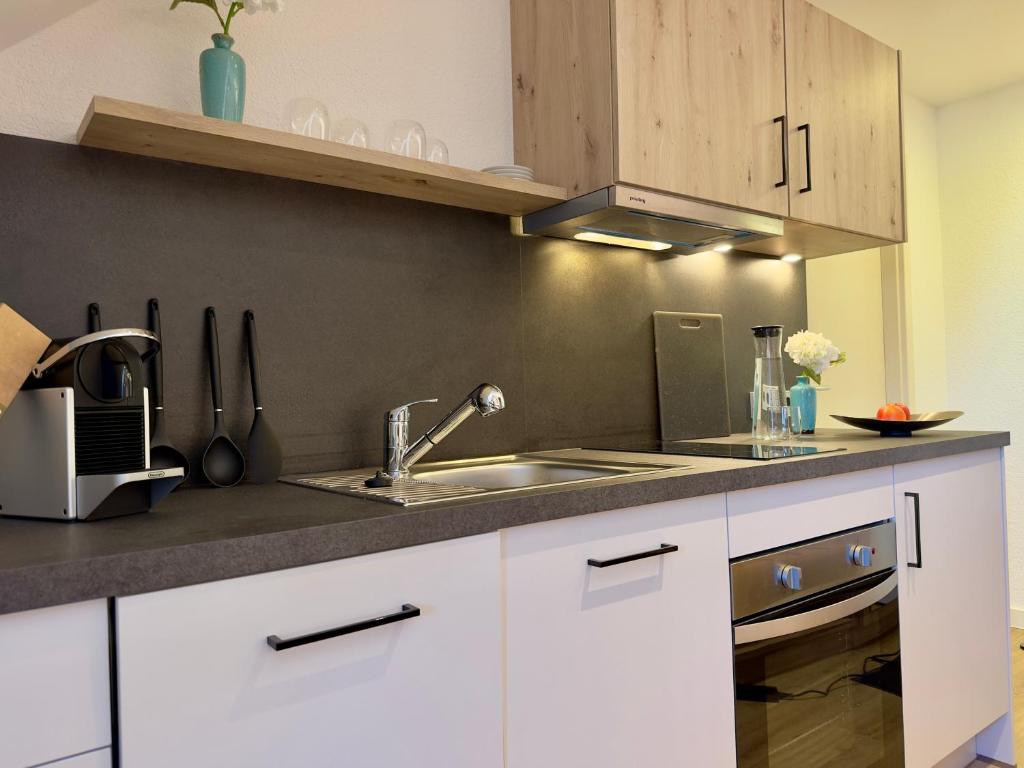 Kuchyň nebo kuchyňský kout v ubytování Living & Serviced Apartments by Blauer Wolf