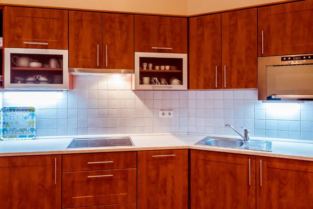 Kuchnia lub aneks kuchenny w obiekcie Apartment Vodičkova 11