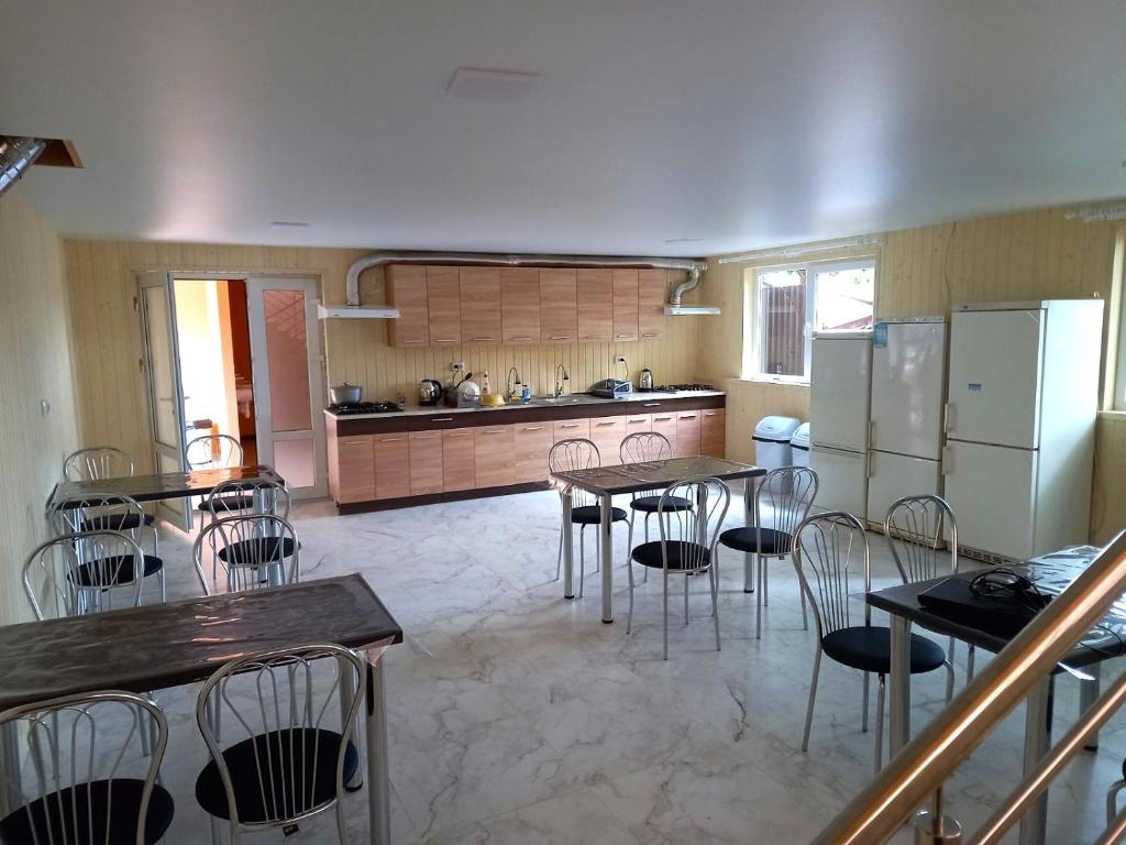 Kuchyň nebo kuchyňský kout v ubytování Hotel Halas