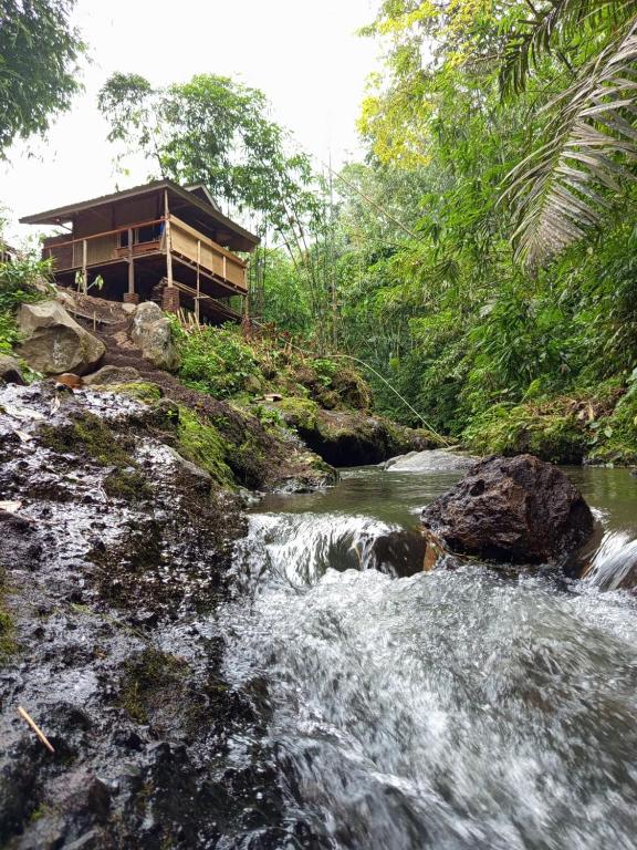 a house next to a river with a waterfall at are twin bungalows in Tetebatu