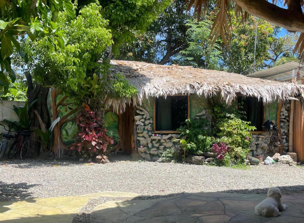 Zahrada ubytování Cahuita Vibe