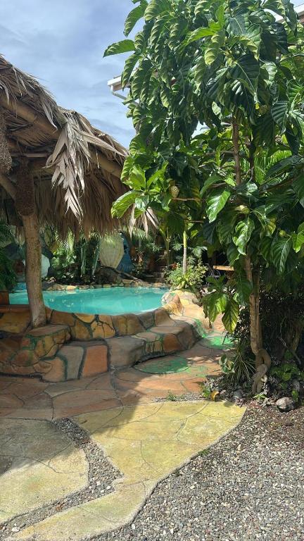 Zahrada ubytování Cahuita Vibe
