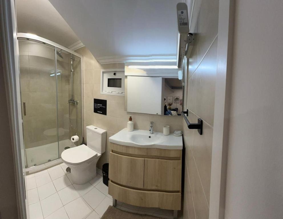 un bagno con lavandino, WC e doccia di Amadora Flat 1 ad Amadora