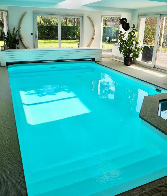 une piscine avec de l'eau bleue dans une maison dans l'établissement Villa piscine intérieure, à Le Touquet-Paris-Plage