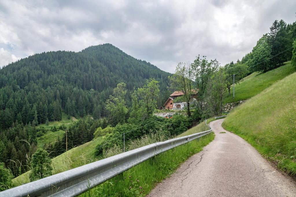 Příroda nedaleko apartmánu