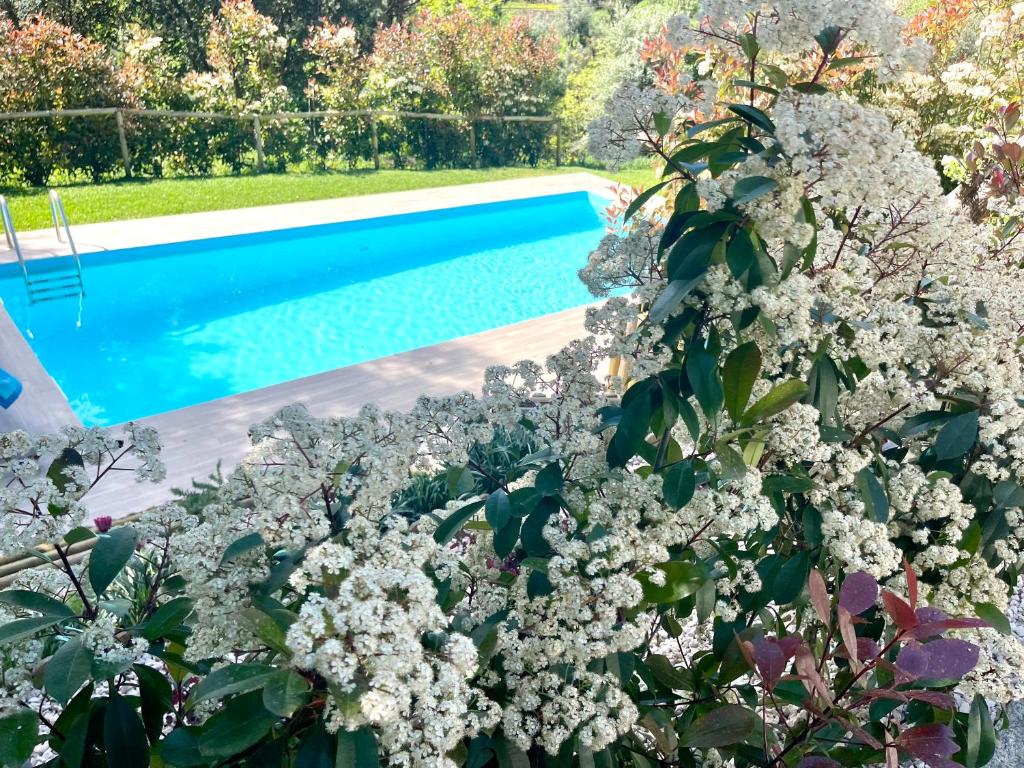 a garden with a swimming pool and flowers at Casa da nascente douro in Paços de Gaiolo