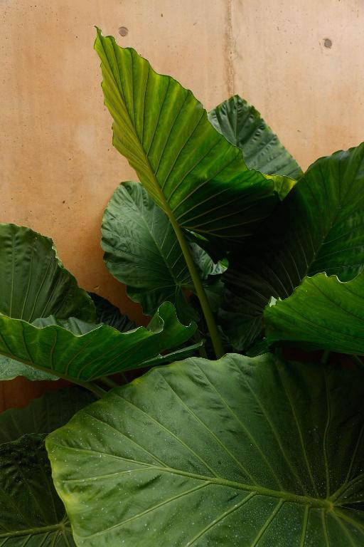 Praia do Canal Nature Retreat - Small Luxury Hotels of the World - 15