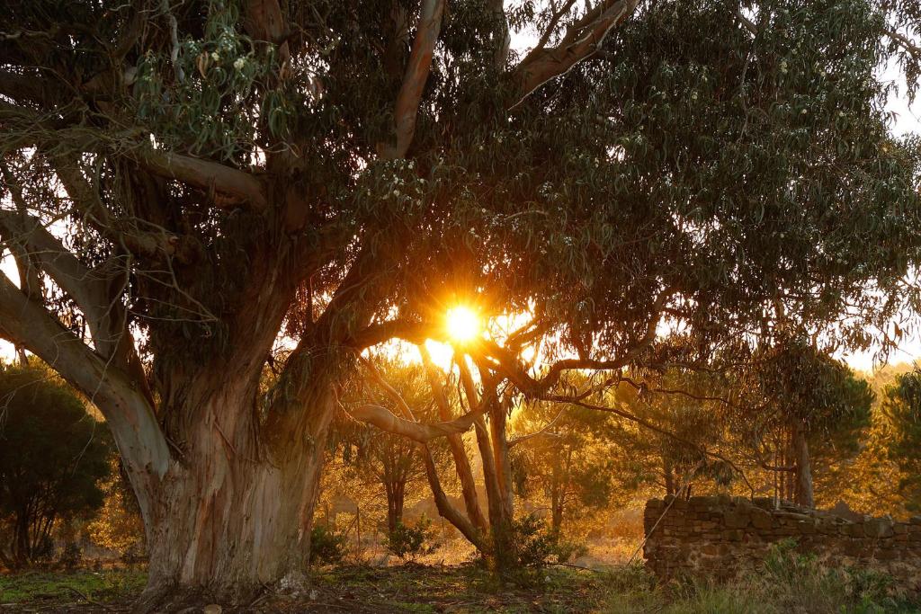 Praia do Canal Nature Retreat - Small Luxury Hotels of the World - 14