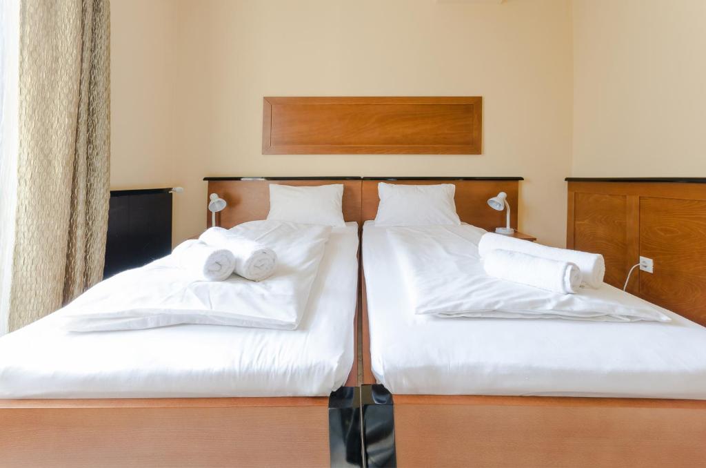 Richter Pansion - Resim 23