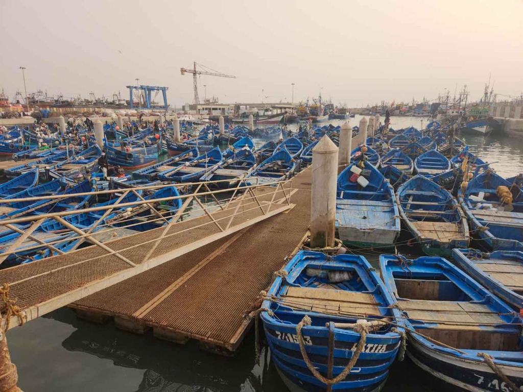 a bunch of blue boats parked in a dock at Hotel-Restaurant Le Kaouki in Sidi Kaouki