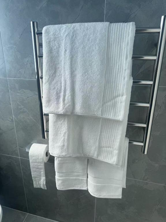 Two Bedroom Apartment - Resim 3