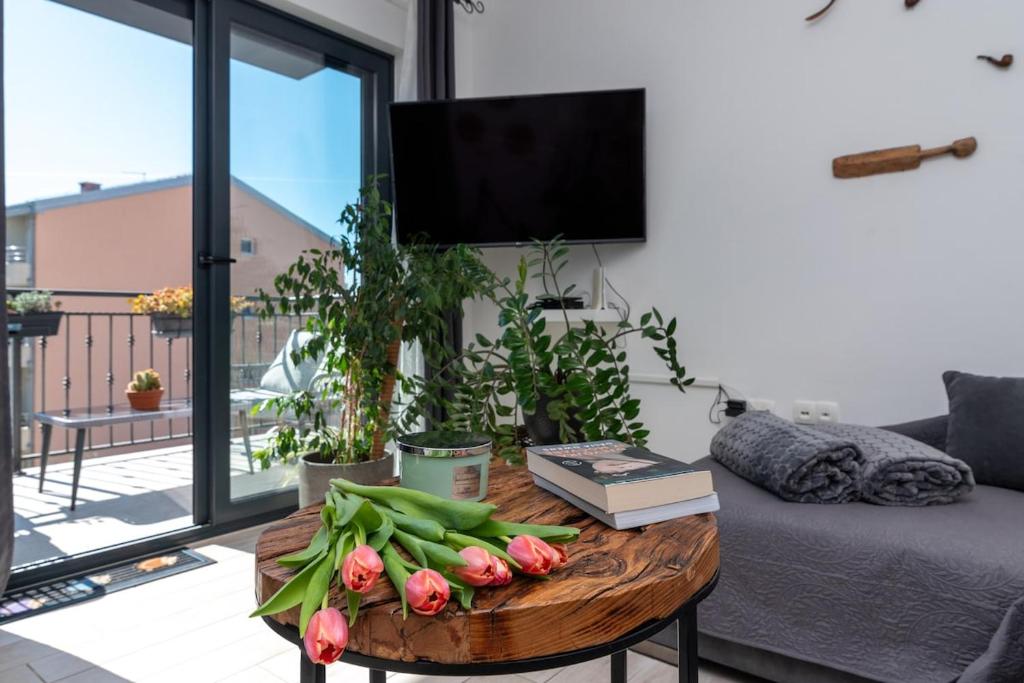Televízia a/alebo spoločenská miestnosť v ubytovaní Apartman Špiro