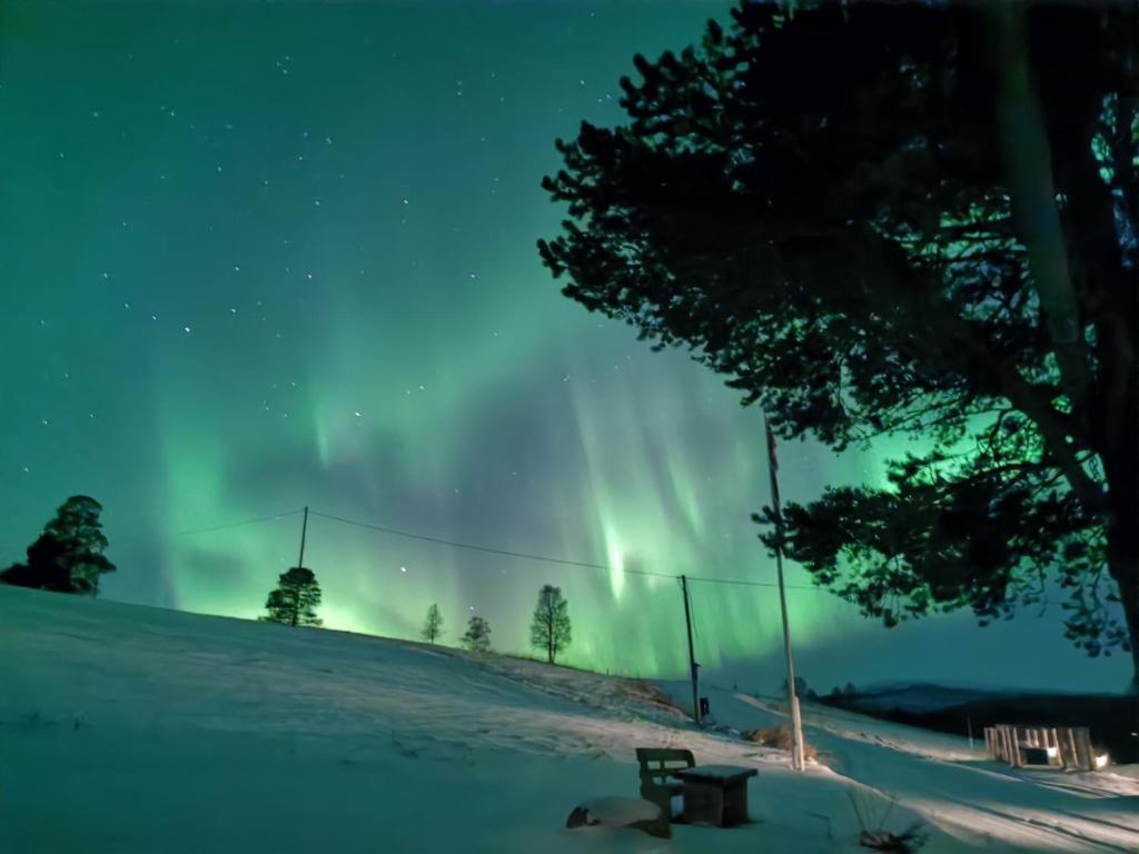 une aurore danse dans le ciel la nuit dans l'établissement Feriehus ved Fjellfroskvatnet, à Skjold