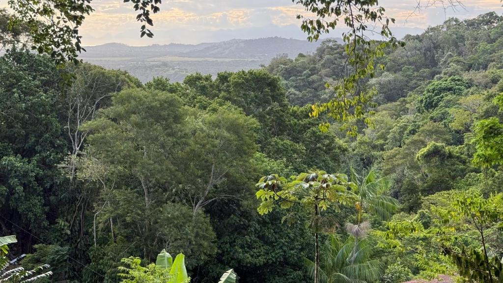 Suíte na montanha - Recreio dos Bandeirantes - entrada independente, com vista pra Floresta